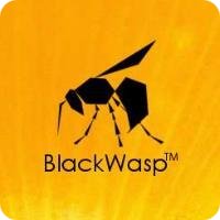 Black Wasp