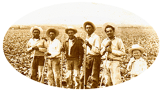 Braceros