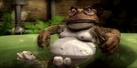 Cane Toad