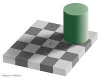 Checker Shadow