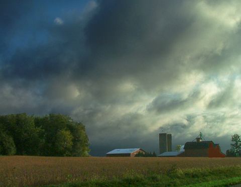 Corn and Soybeans