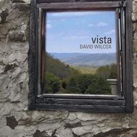 David Wilcox Vista