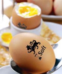 Lion Quality Egg