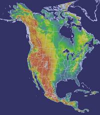 North American Mammals