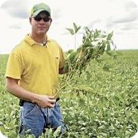 Soybeans In Brazil