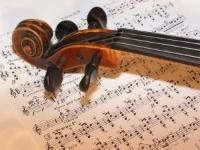 Violin