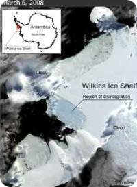 Wilkins Ice Shelf