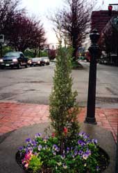 Worlds Smallest Park